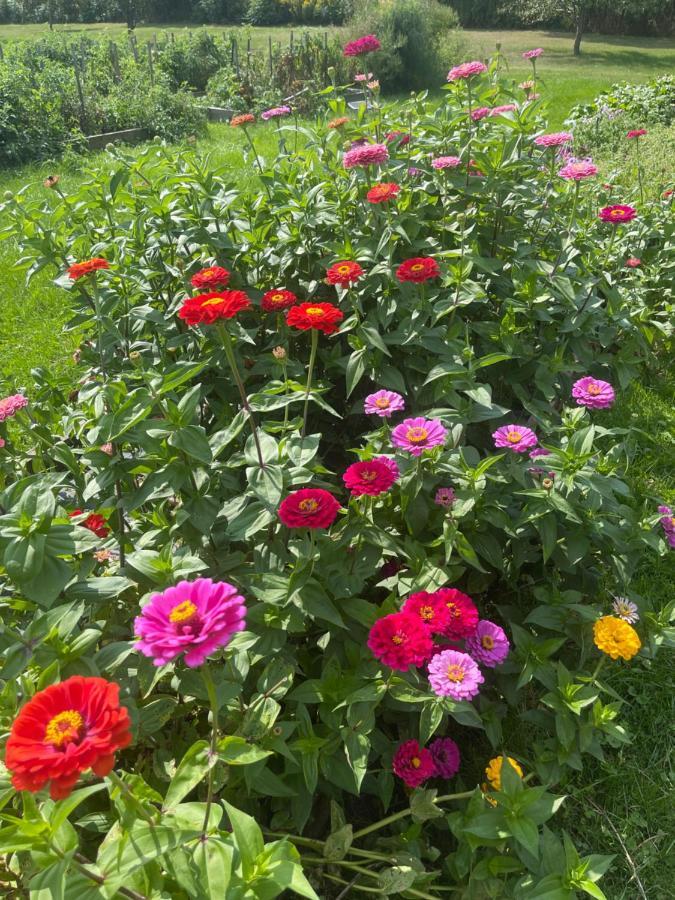 Dodds Brick House Bed & Breakfast North Hero Экстерьер фото